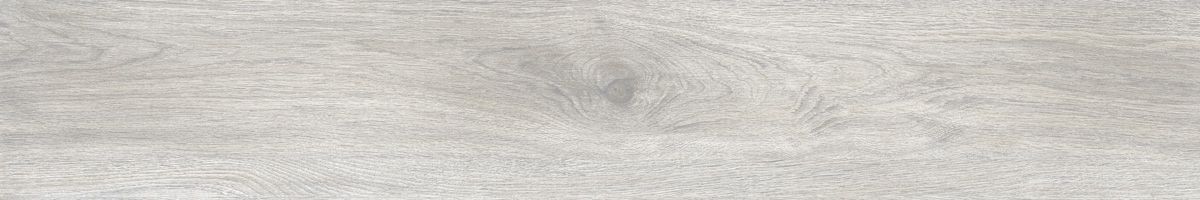 Ajanta acacia 2