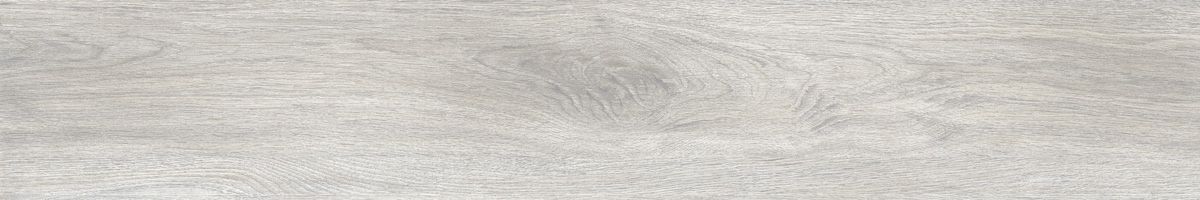 Ajanta acacia 8