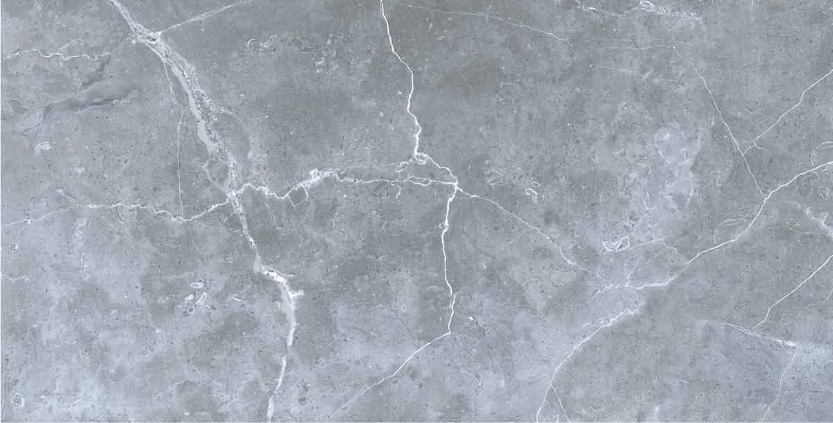 Petra northern silver 7