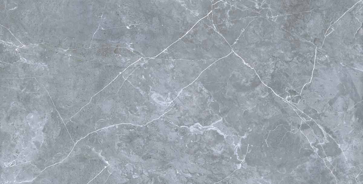 Petra northern silver 8