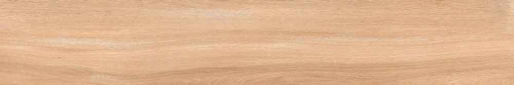 Nova Beige 2