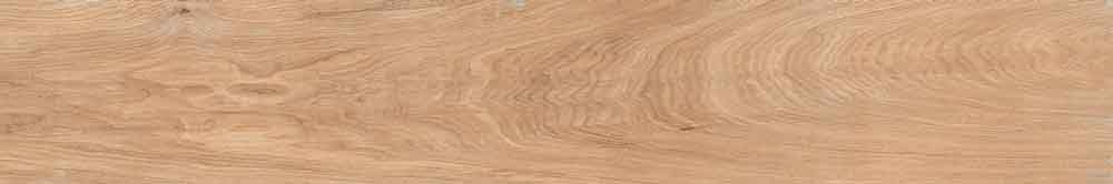 Nova Beige 4