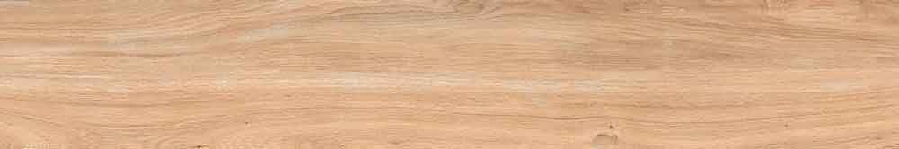 Nova Beige 5
