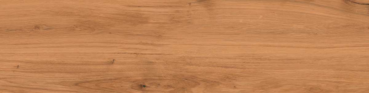 Timber Land 10