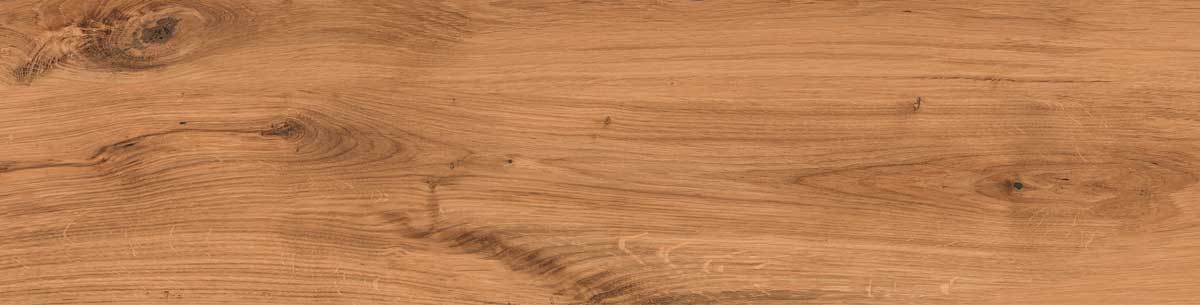 Timber Land 11