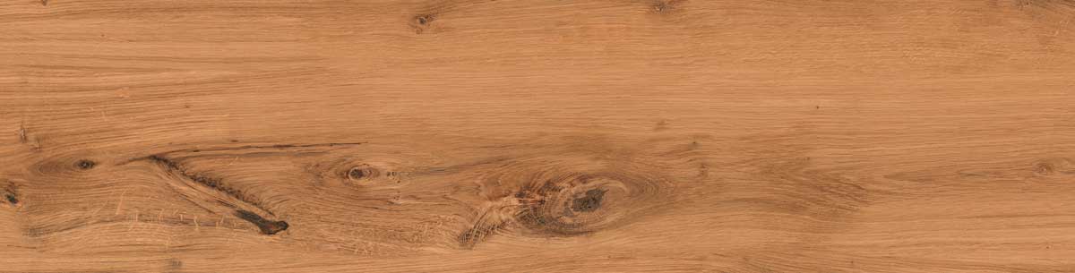 Timber Land 12