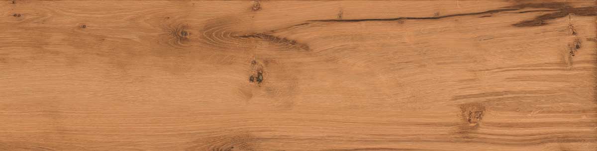Timber Land