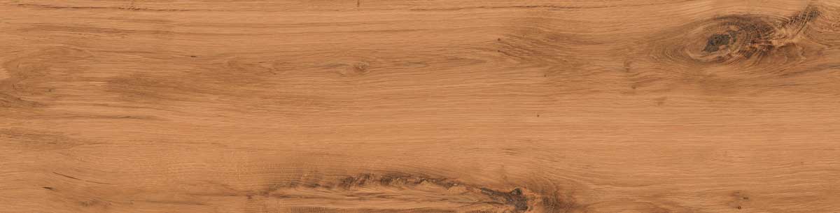 Timber Land 2