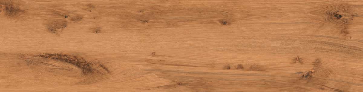 Timber Land 4