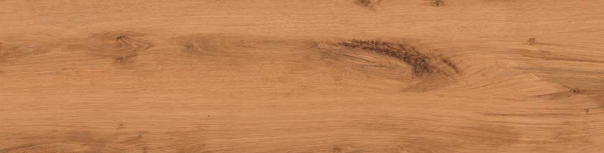 Timber Land 5