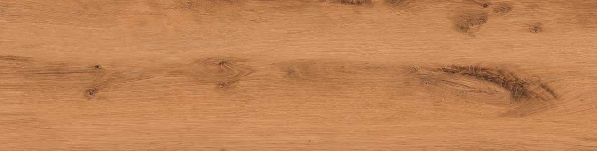 Timber Land 8