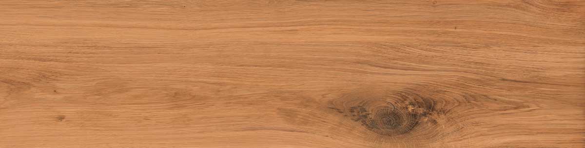 Timber Land 9