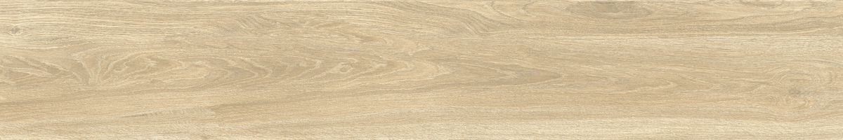Ajanta ash 10
