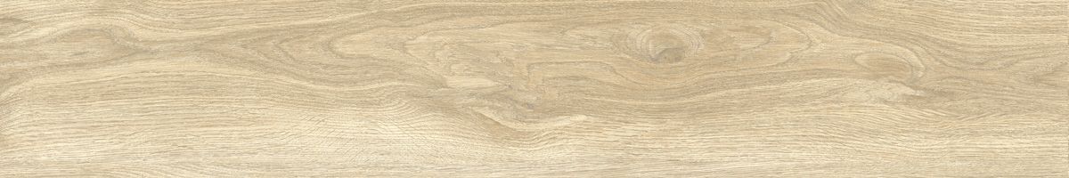Ajanta ash 2