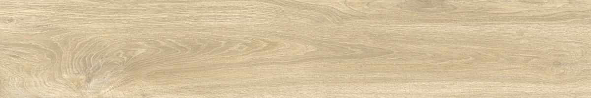 Ajanta ash 4
