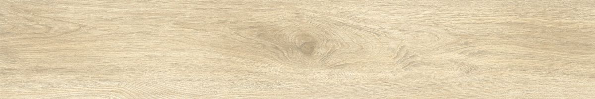 Ajanta ash 5