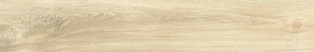 Ajanta ash 6