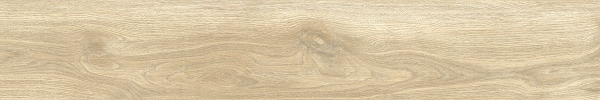 Ajanta ash 8