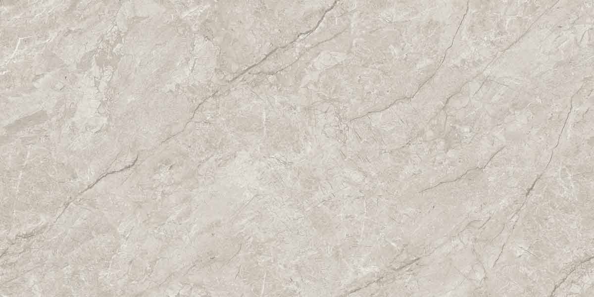 Absolute Grey 7