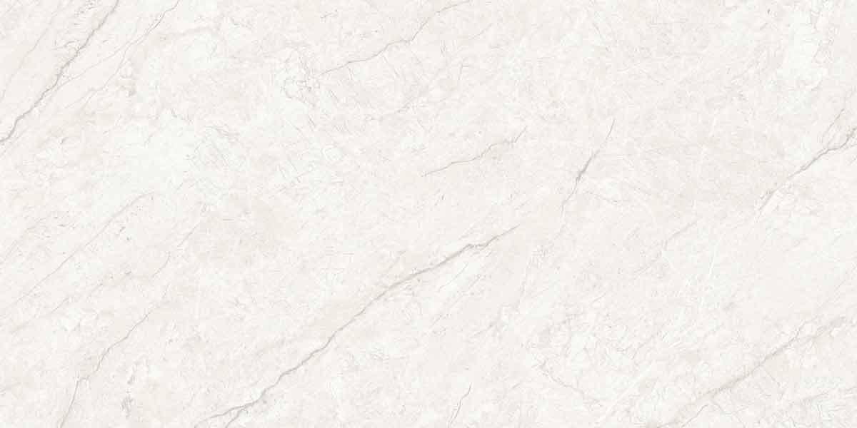 Absolute Bianco 4