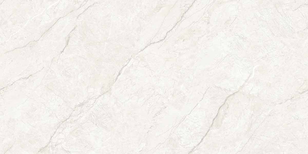 Absolute Bianco 5
