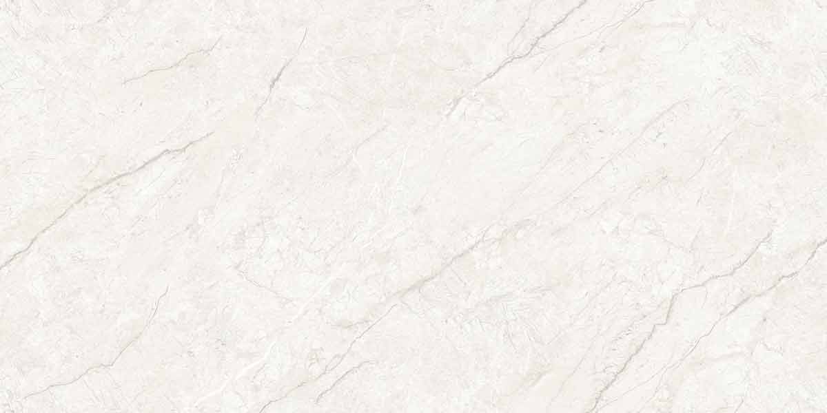 Absolute Bianco 6