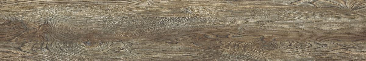 Arbel bubinga 2