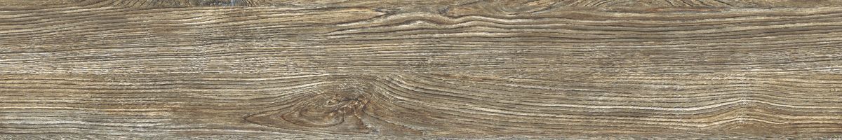 Arbel bubinga 4