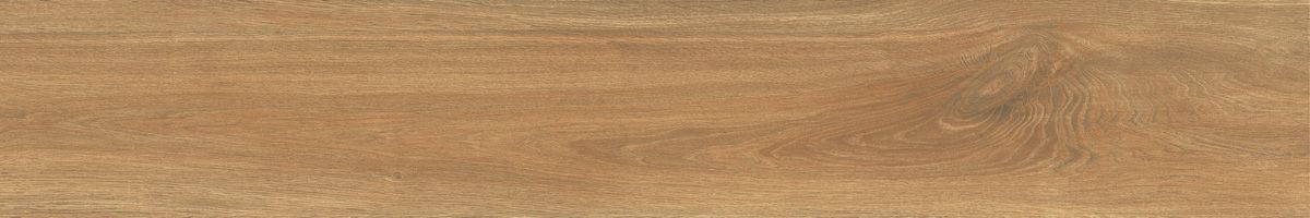 Ajanta iroko 10