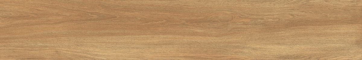 Ajanta iroko 2