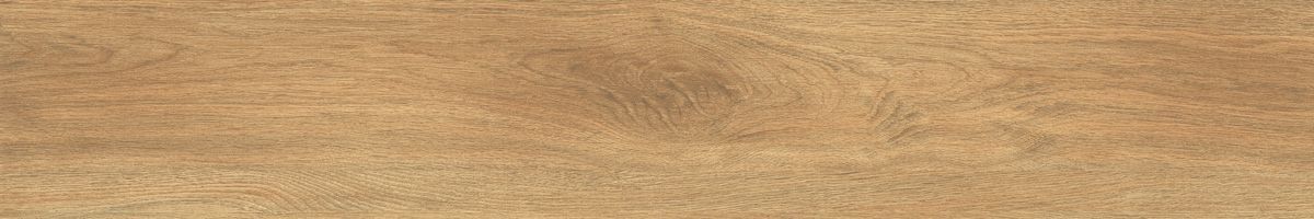 Ajanta iroko 4