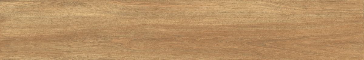 Ajanta iroko 6