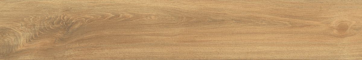 Ajanta iroko 9