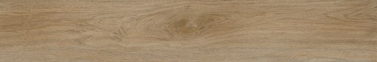 Ajanta hazel 8