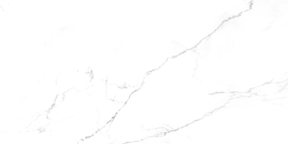 Discovery Blanco 4
