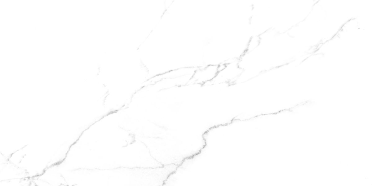 Discovery Blanco 6