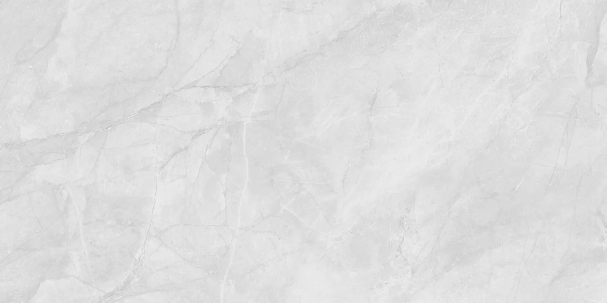 Berna Silver 2