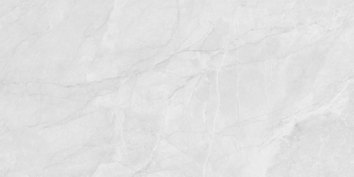 Berna Silver 5