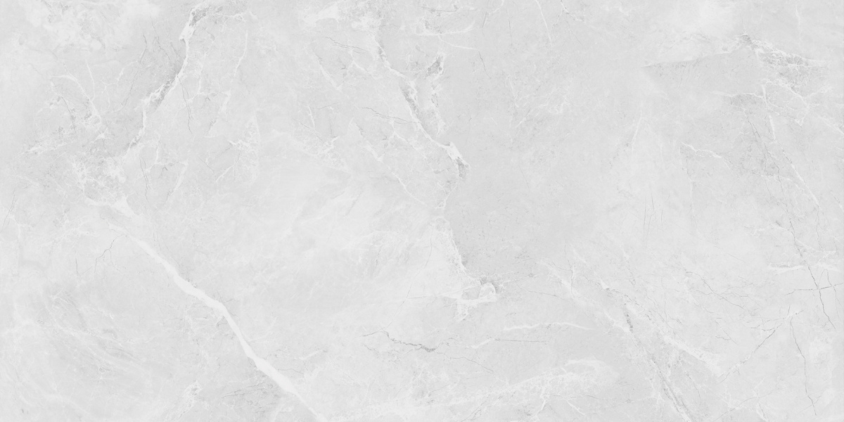Berna Silver 7