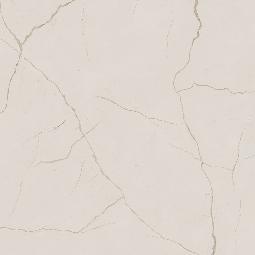 Amora Blanco 2