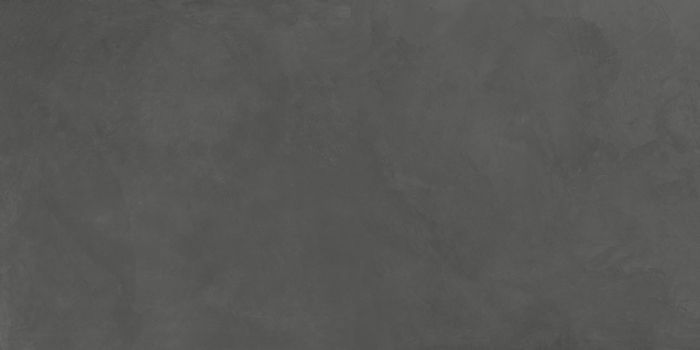 Evolution Gris