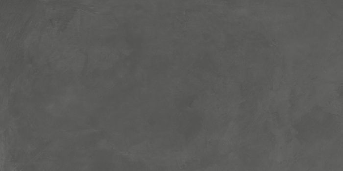 Evolution Gris 2