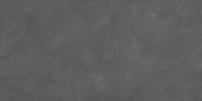 Evolution Gris 4