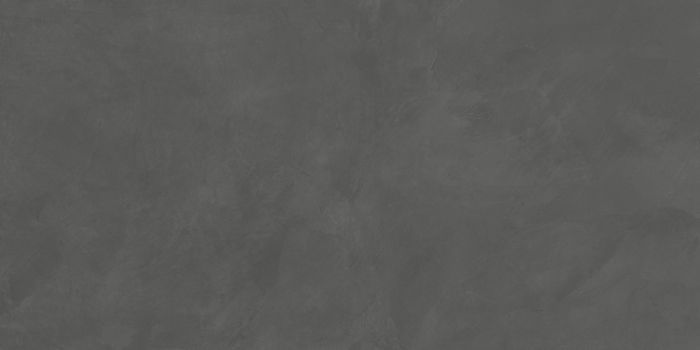 Evolution Gris 6