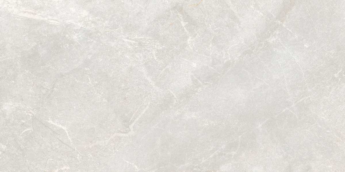 Rocky Bianco 2