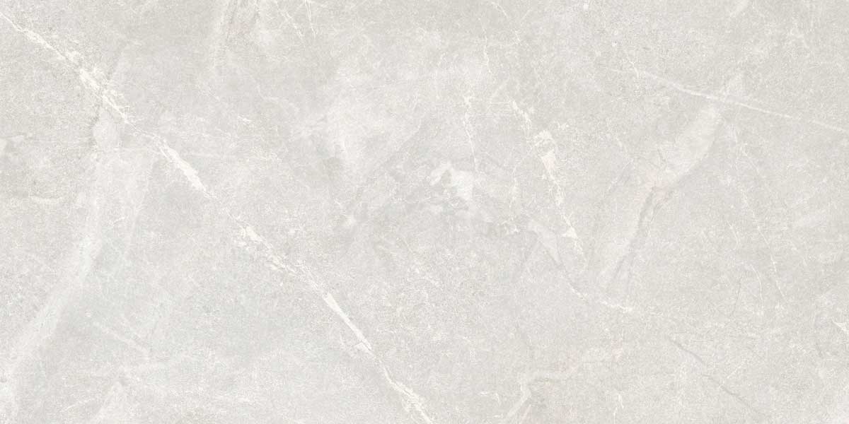 Rocky Bianco 3