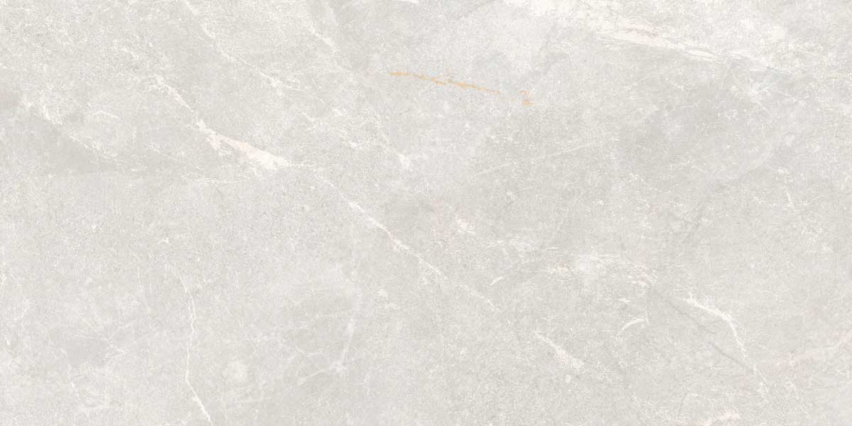 Rocky Bianco 5