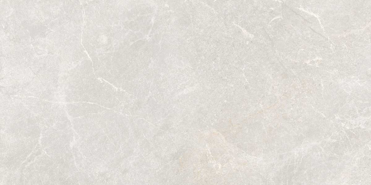 Rocky Bianco 6