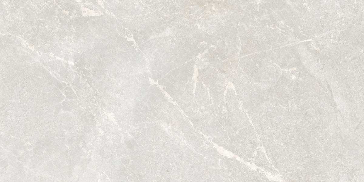 Rocky Bianco 7