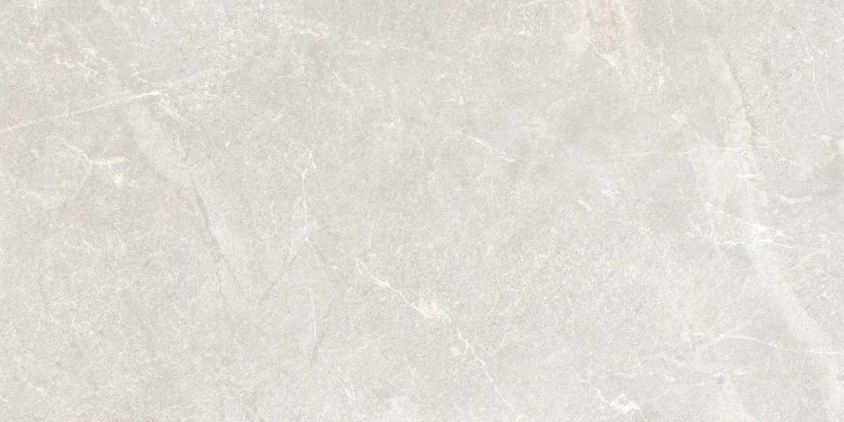 Rocky Bianco 8